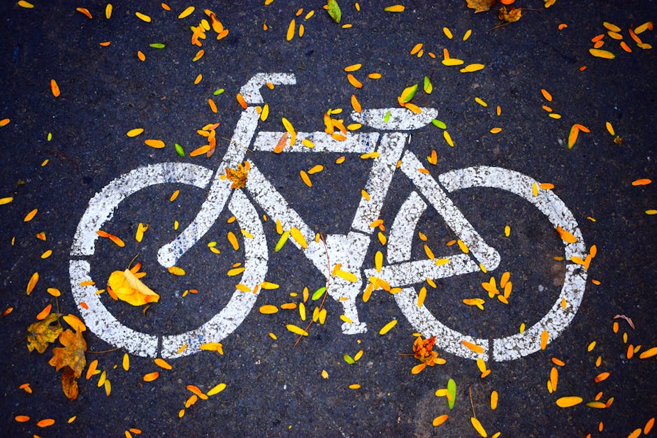 Señal de bicicleta en un carril de bicicletas, con hojas de árbol.